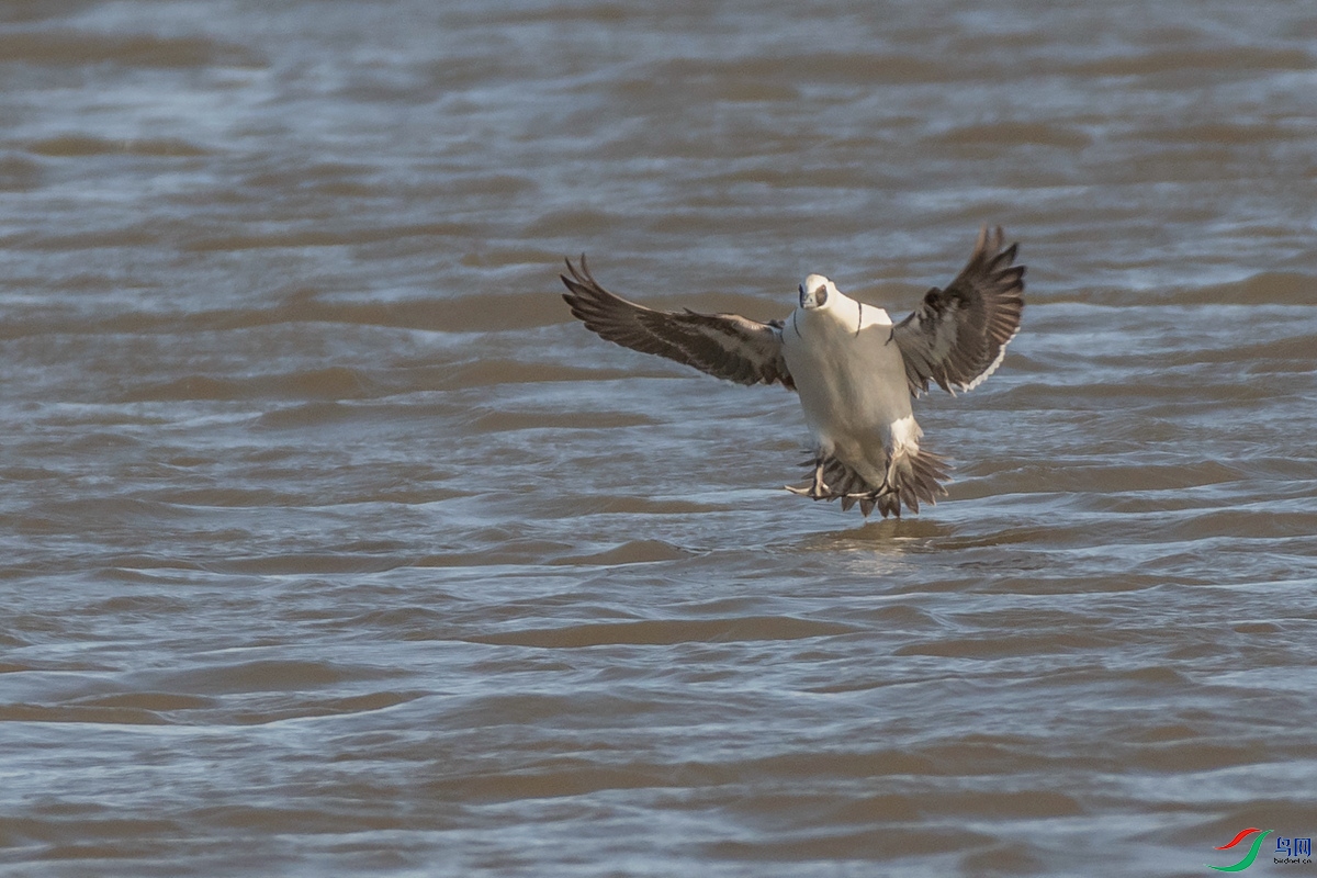 DSC_8595.jpg