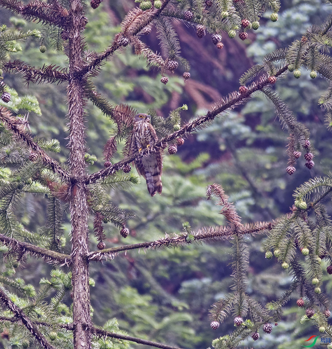 DSC_6901.jpg