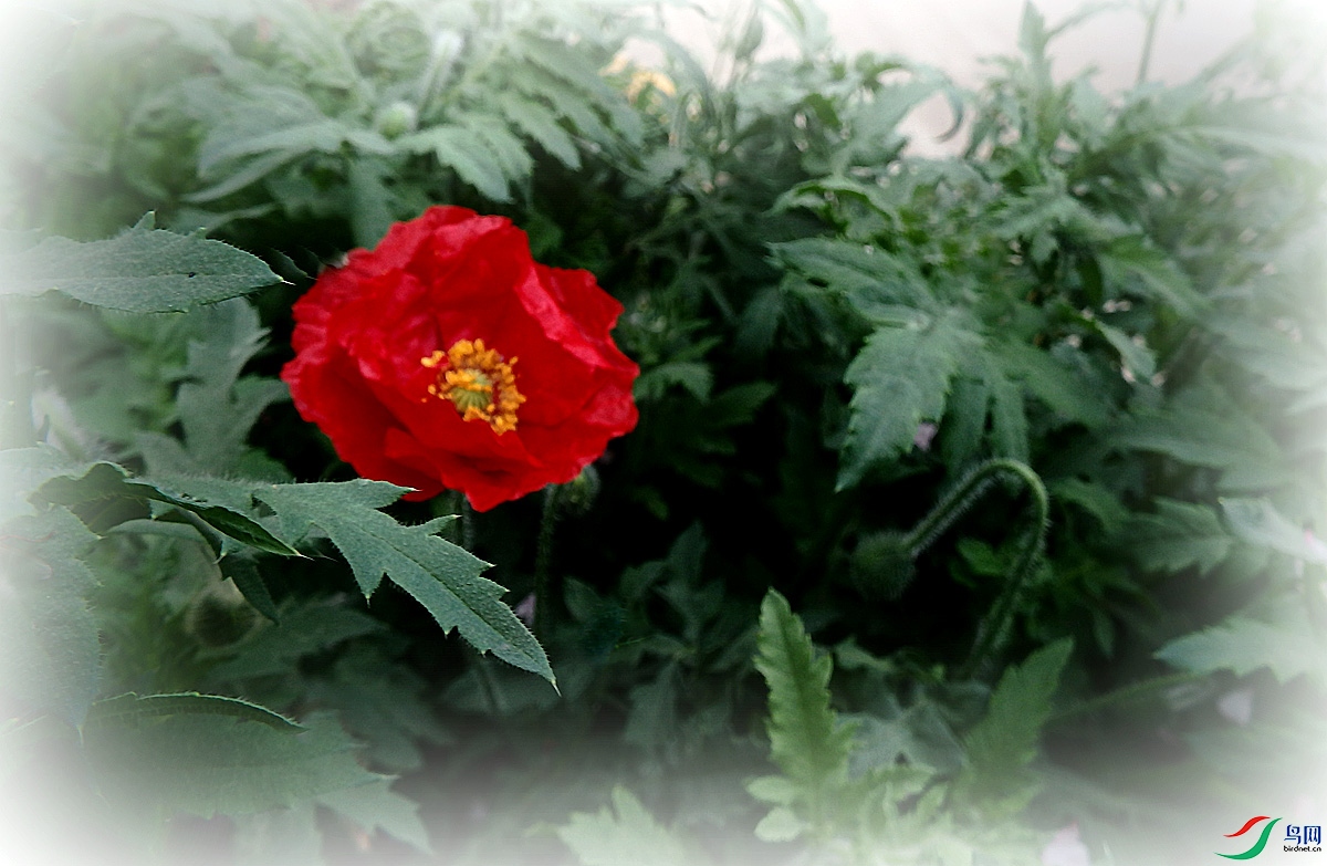 P4170566.jpg