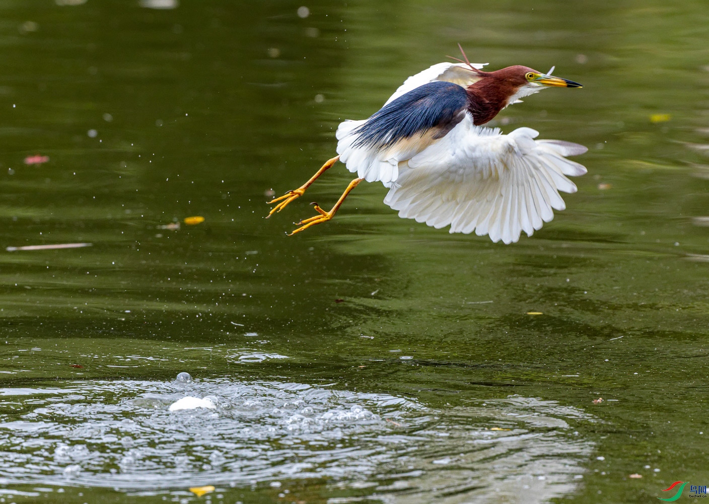 IMG_7488_DxO.jpg