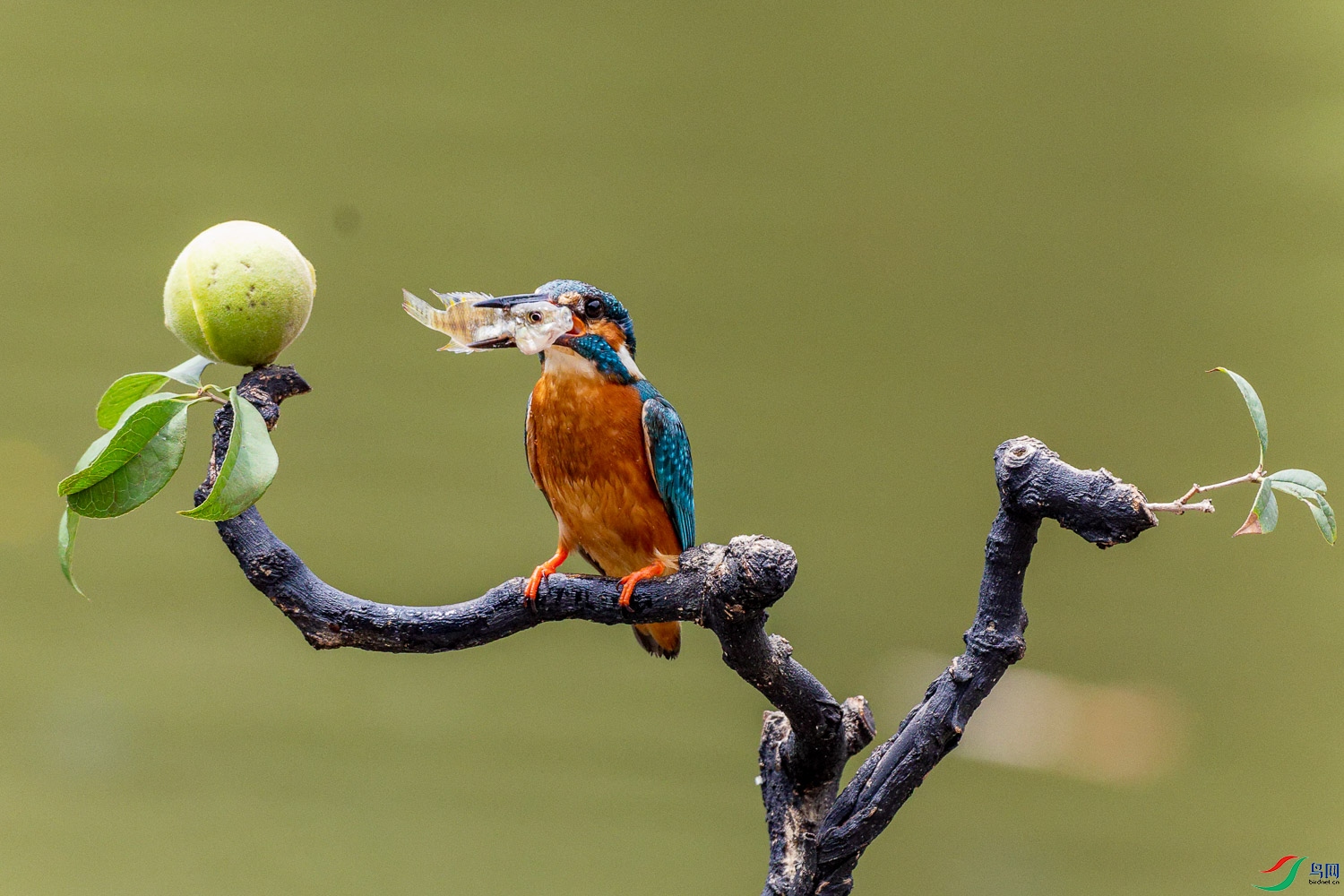 IMG_7756_DxO.jpg