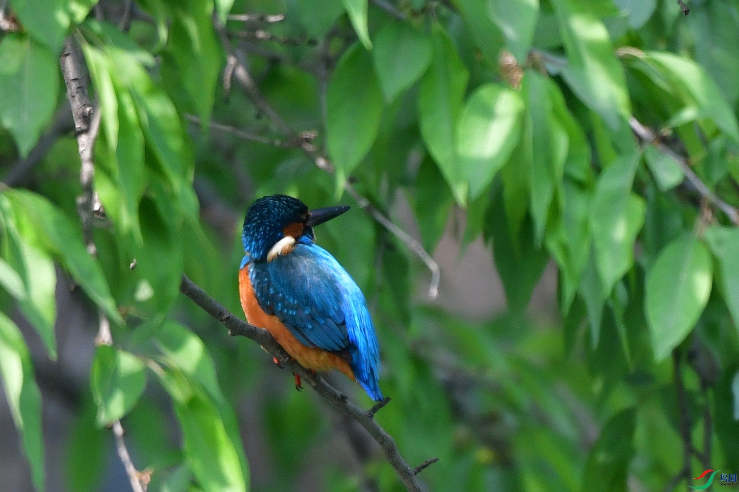 DSC_3316.jpg