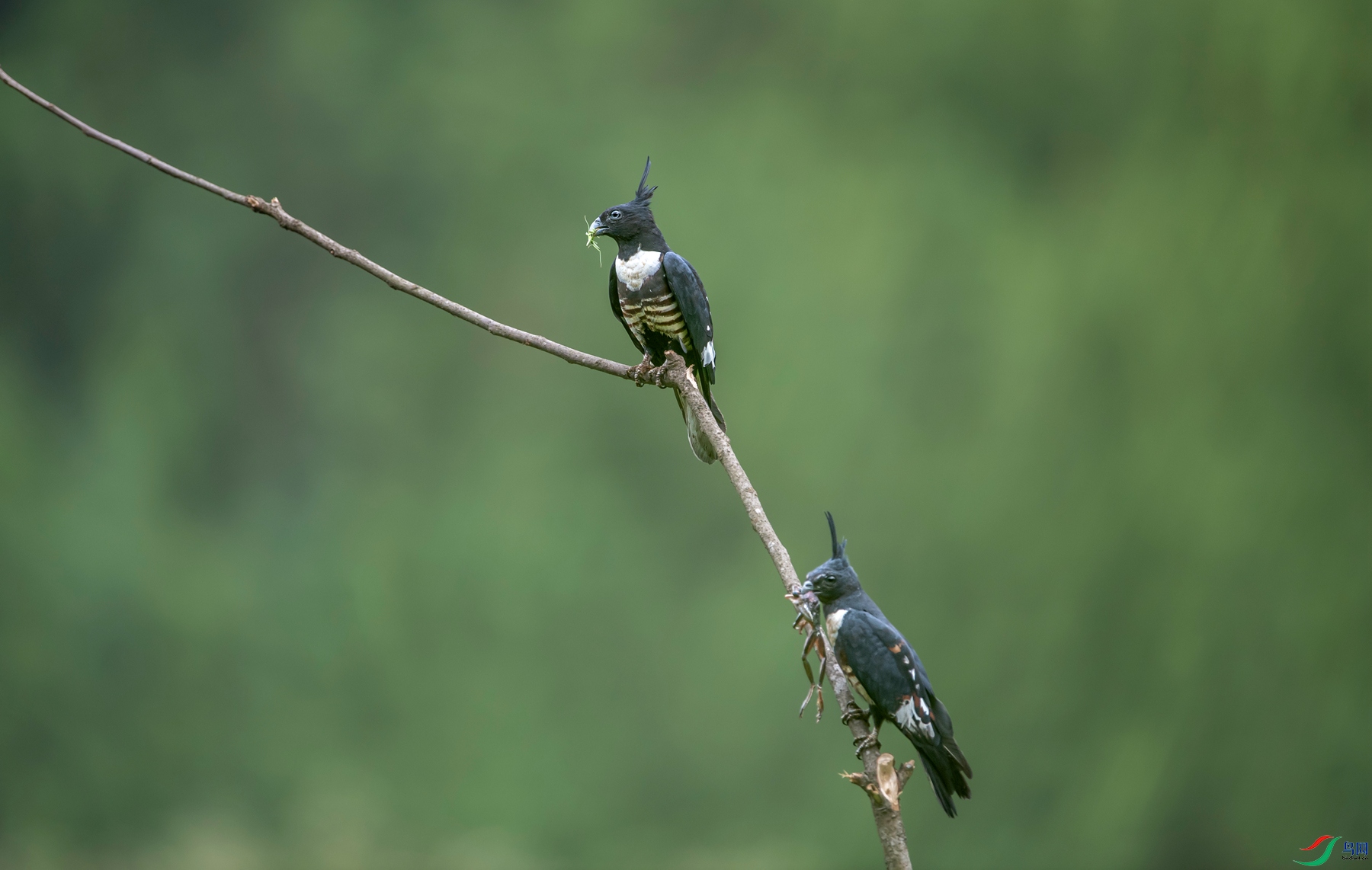 DSC_2746_����.jpg