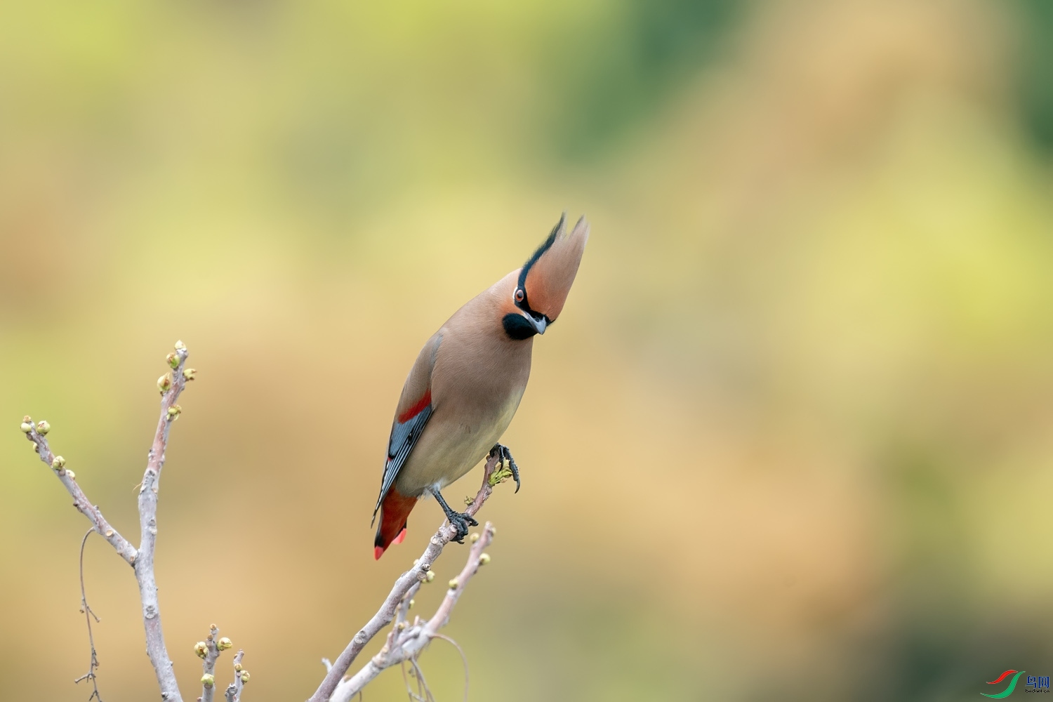 A9D05514a.jpg