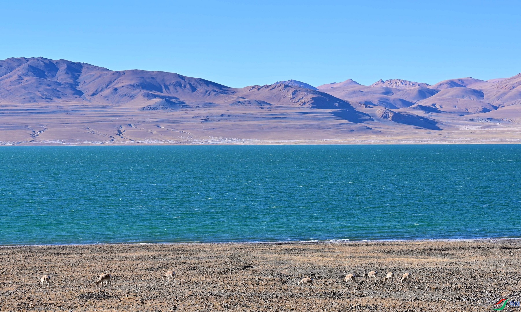 DSC_1855.jpg