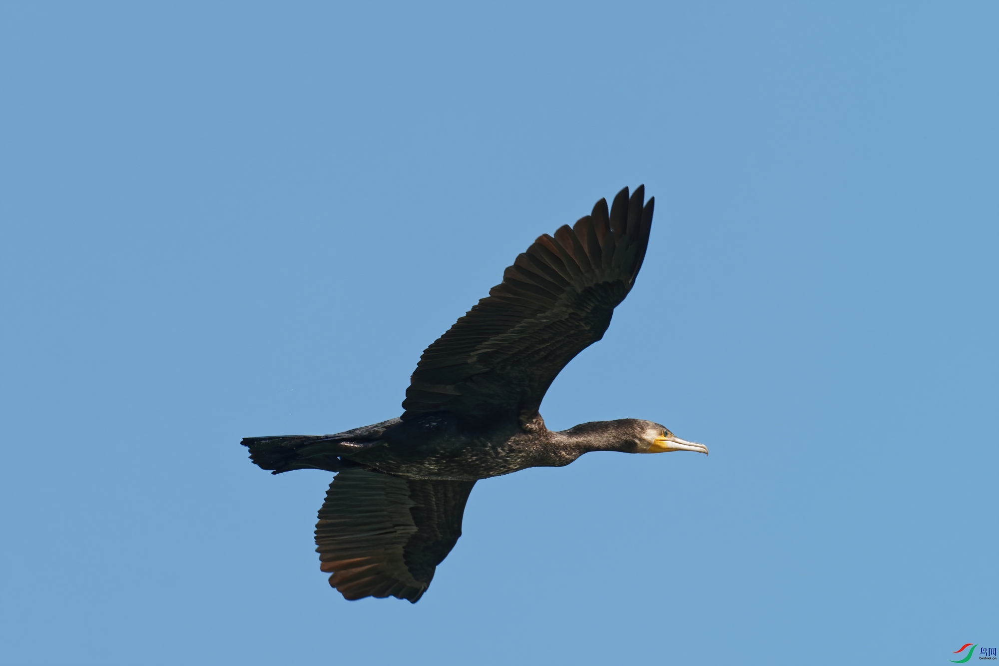 PB120308_DxO-d2.jpg