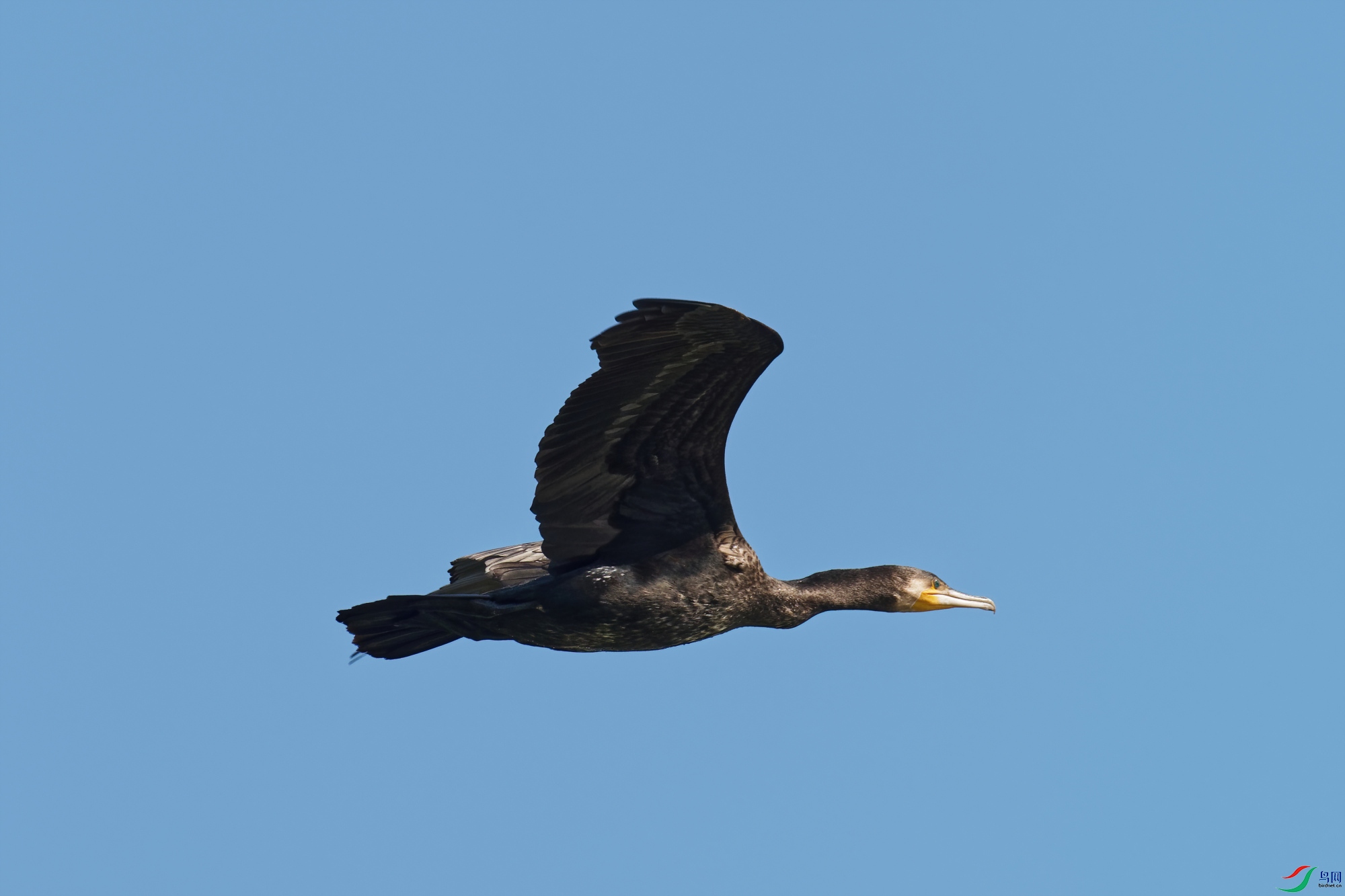 PB120307_DxO-d2.jpg