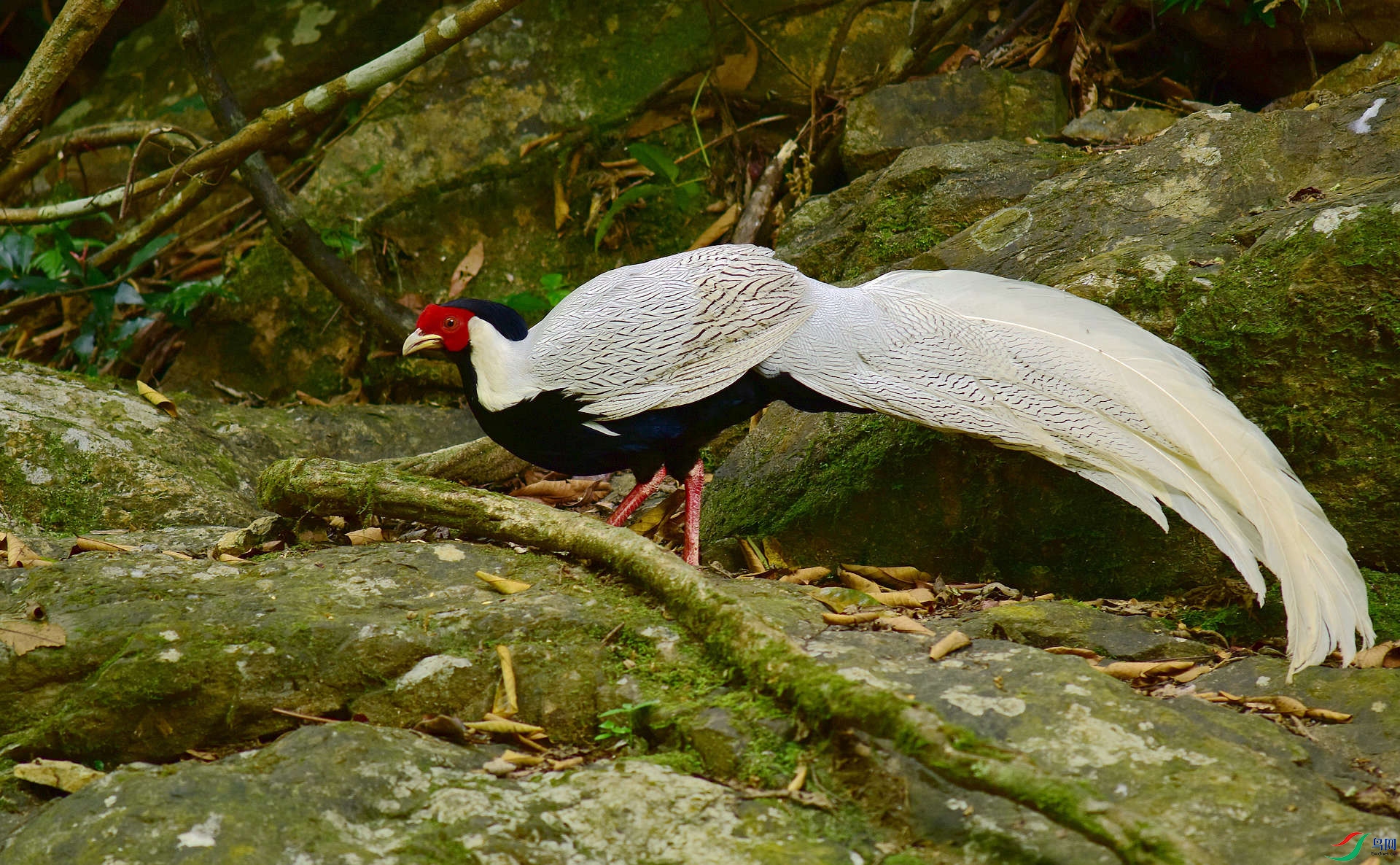 D8I_3504.jpg