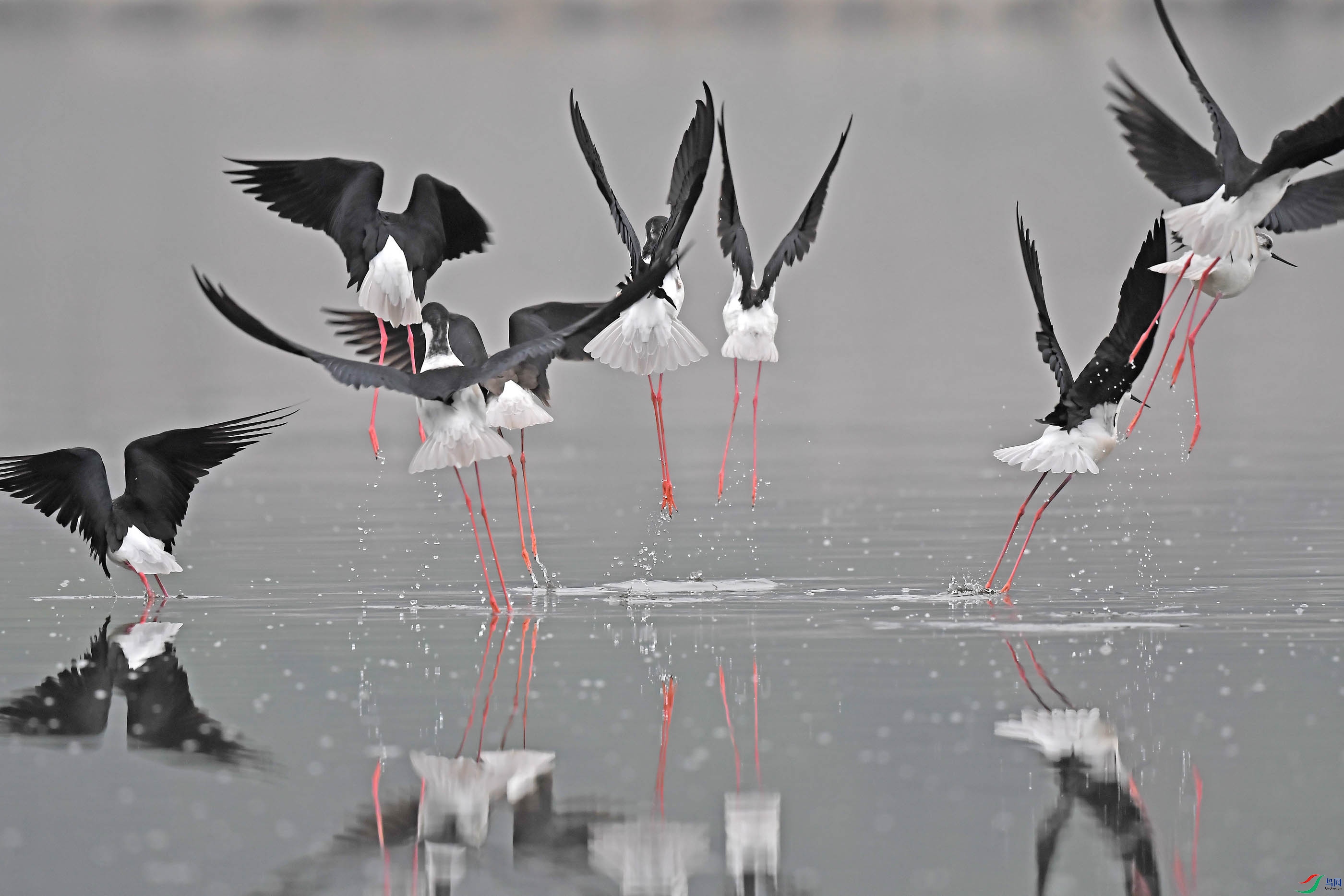 DSC_0067 - ����.JPG