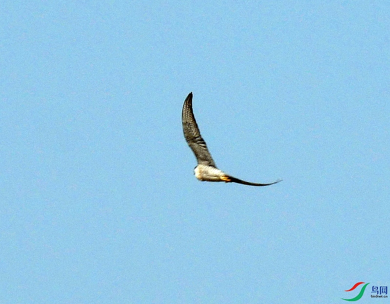 P6400727 - ����.JPG