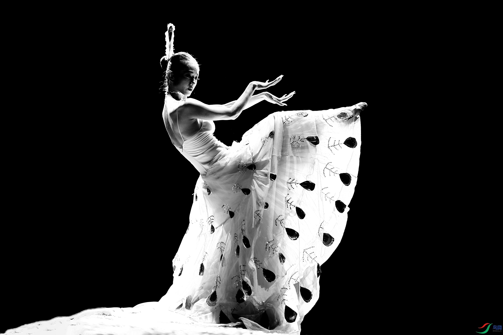 [人物] 孔雀舞------祝贺荣获首页黑白影像精华!