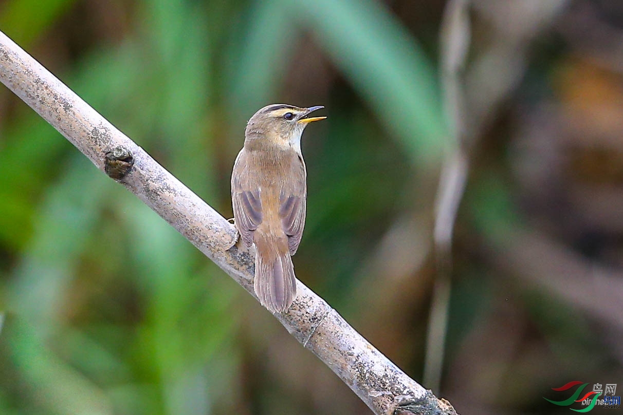 ��ˮ��ʿ  ��ʦ�����ڹ���׳��������������������.jpg