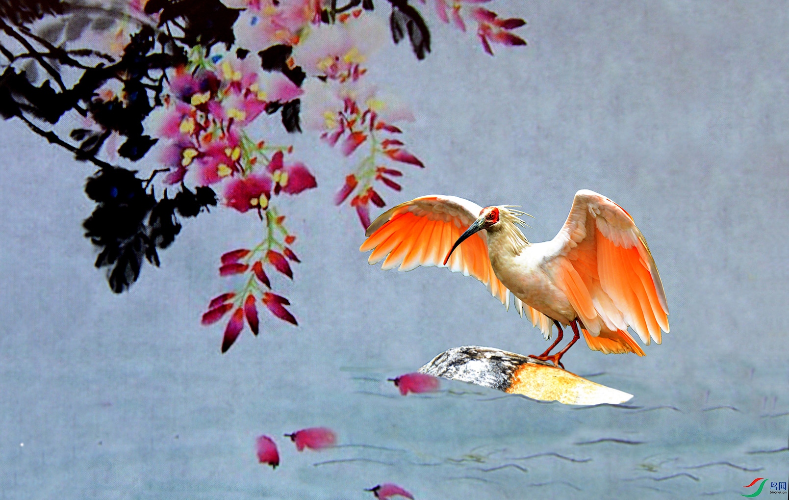 花香绿水迎朱鹮