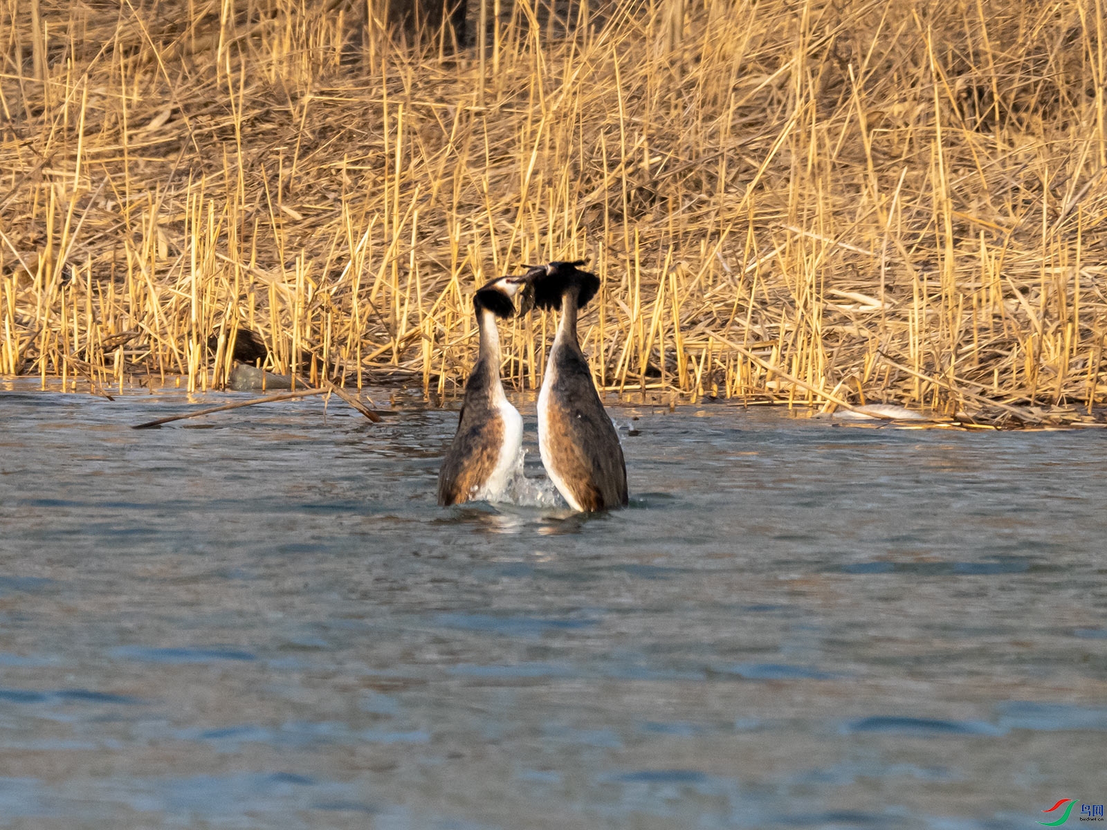 �����еķ�ͷ���f