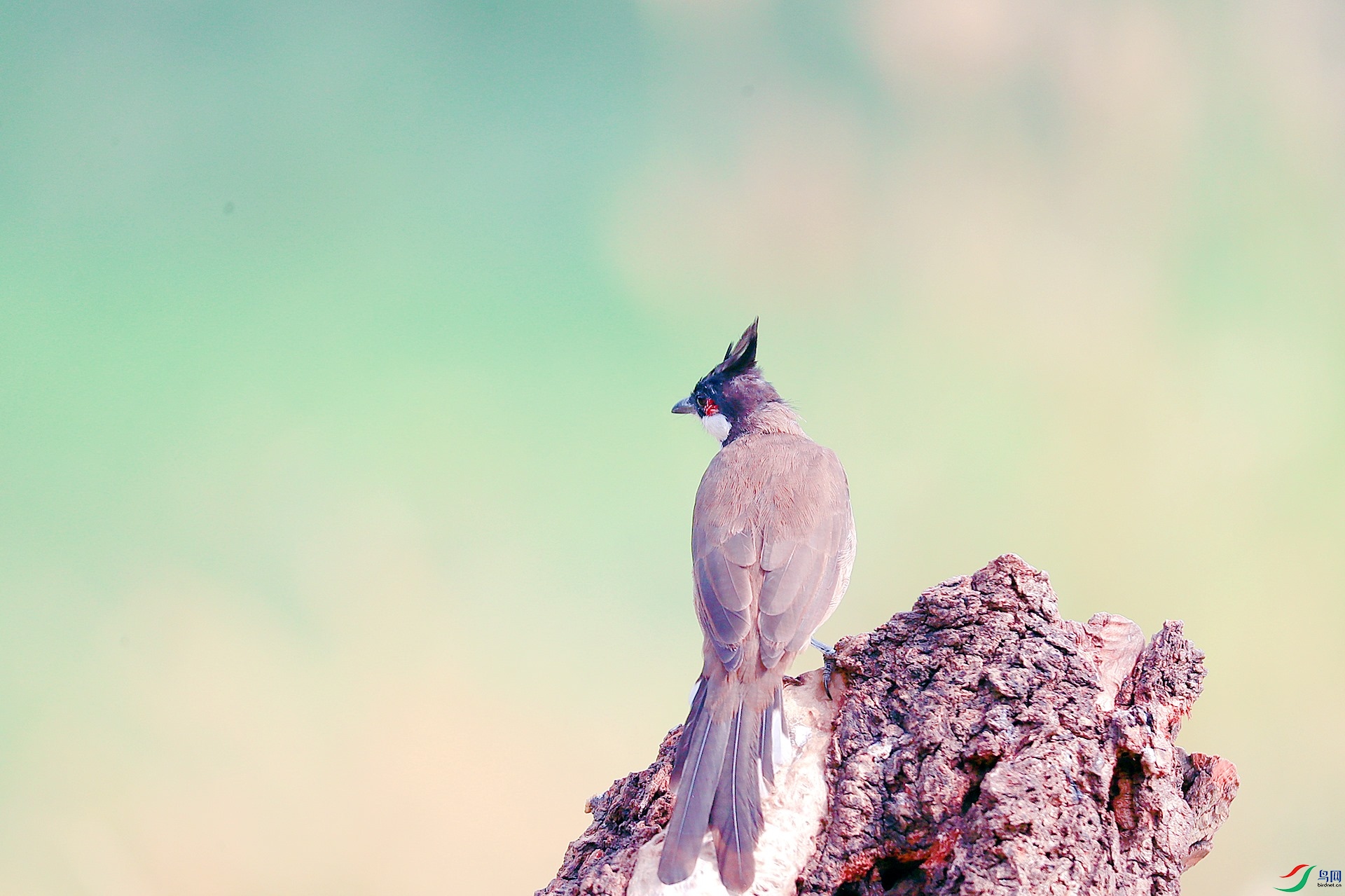 AS8I4998_����.jpg