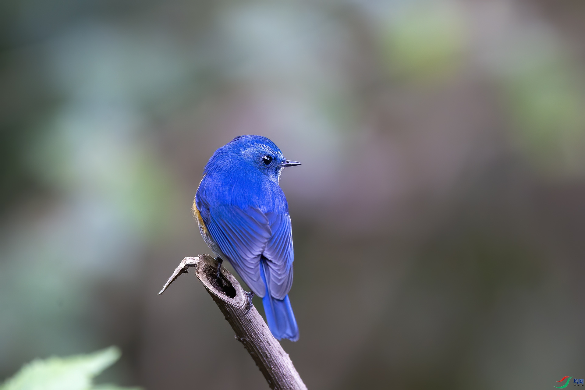 B09J7703.jpg