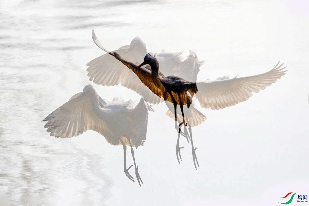 ����֮�켣 (2).jpg