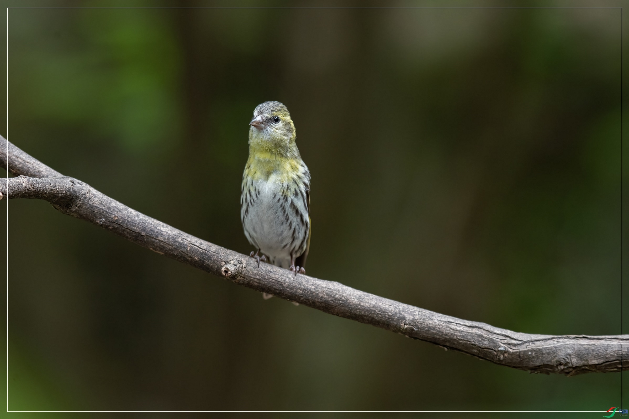 DSC_5638.jpg