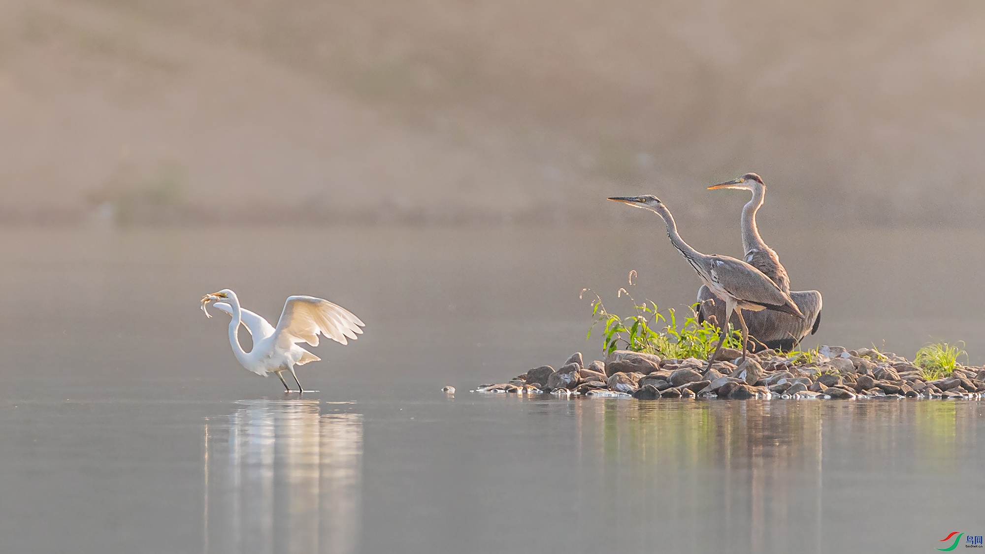 ��л��ʦ�ǵ�ָ��