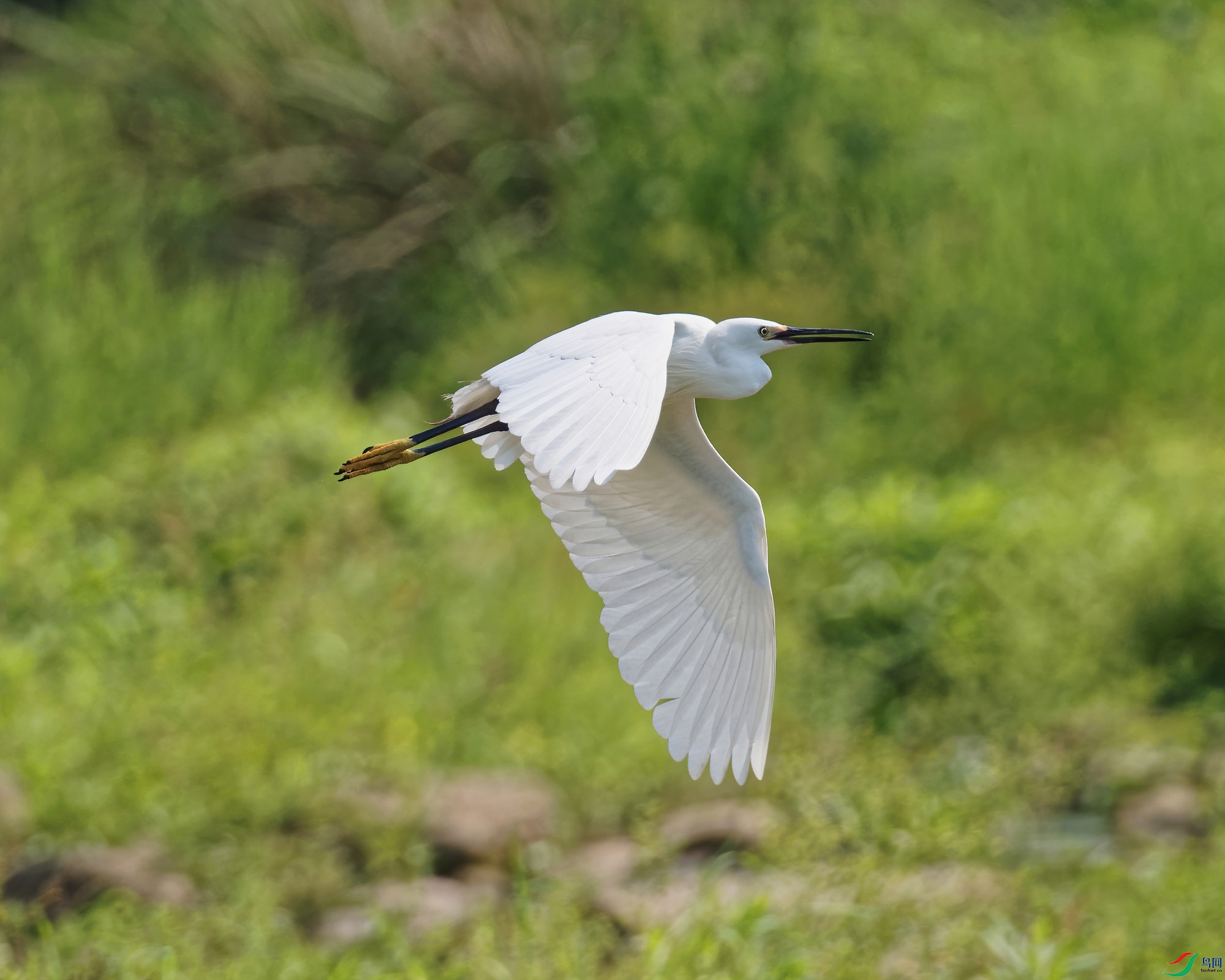 P4220029_DxO-sd2.jpg