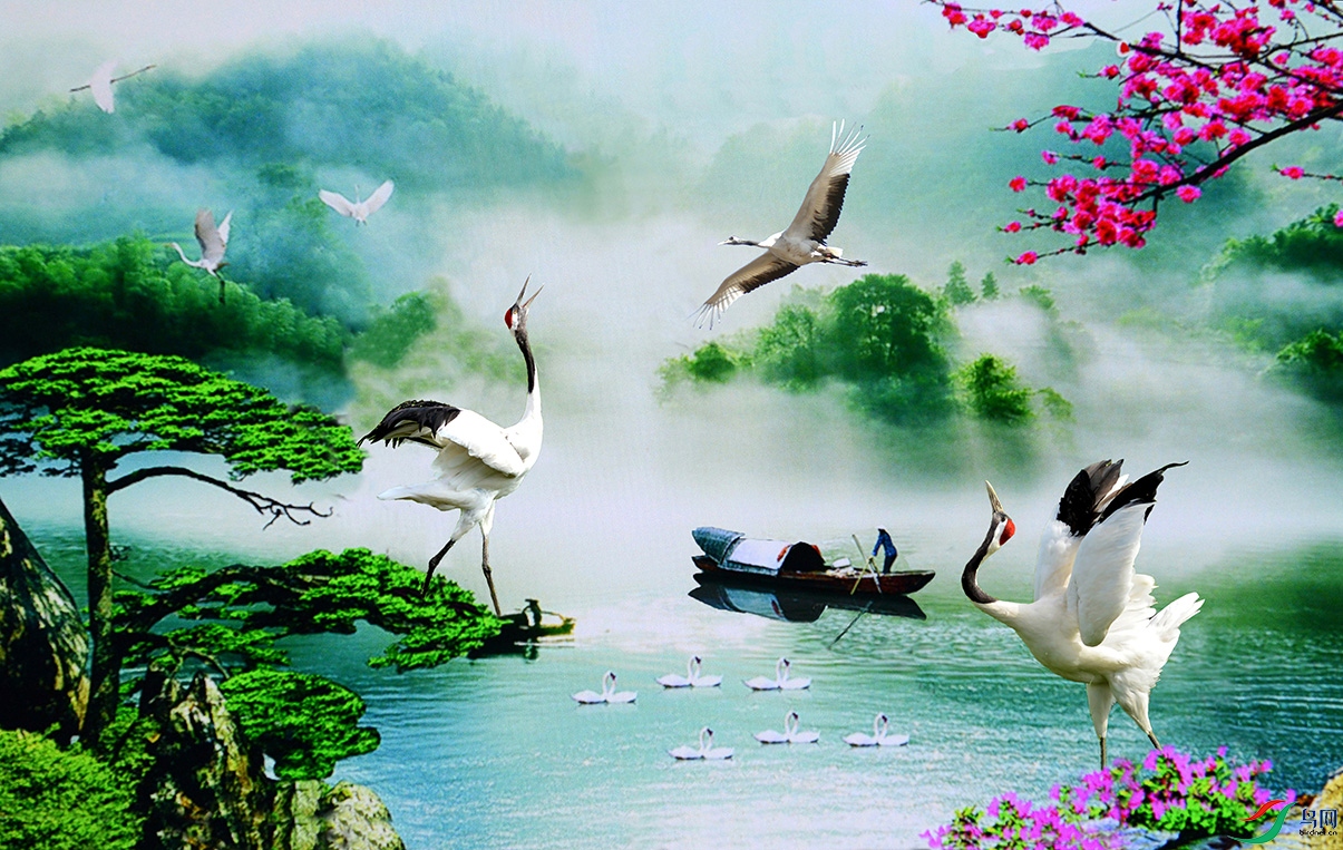 5.��ˮ��ɽ������2662AM.jpg