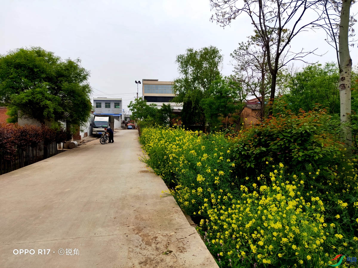 IMG20210414160701.jpg