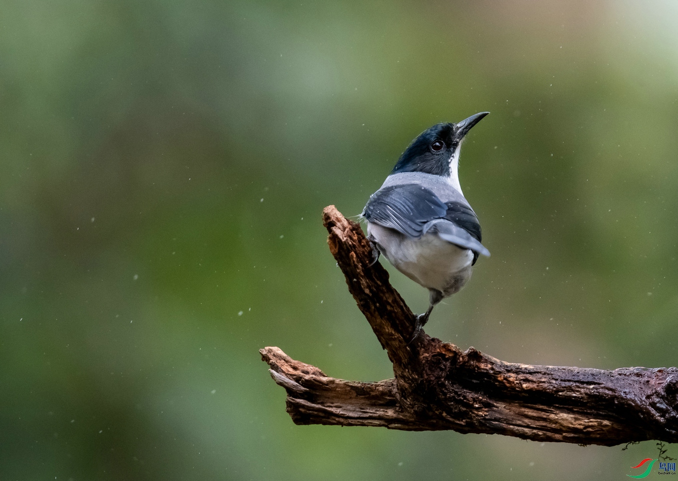 DSC_8689.jpg