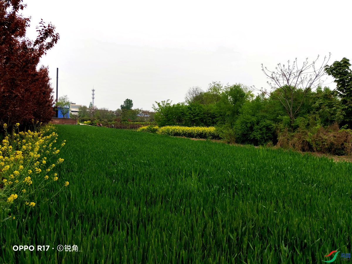 IMG20210414160153.jpg