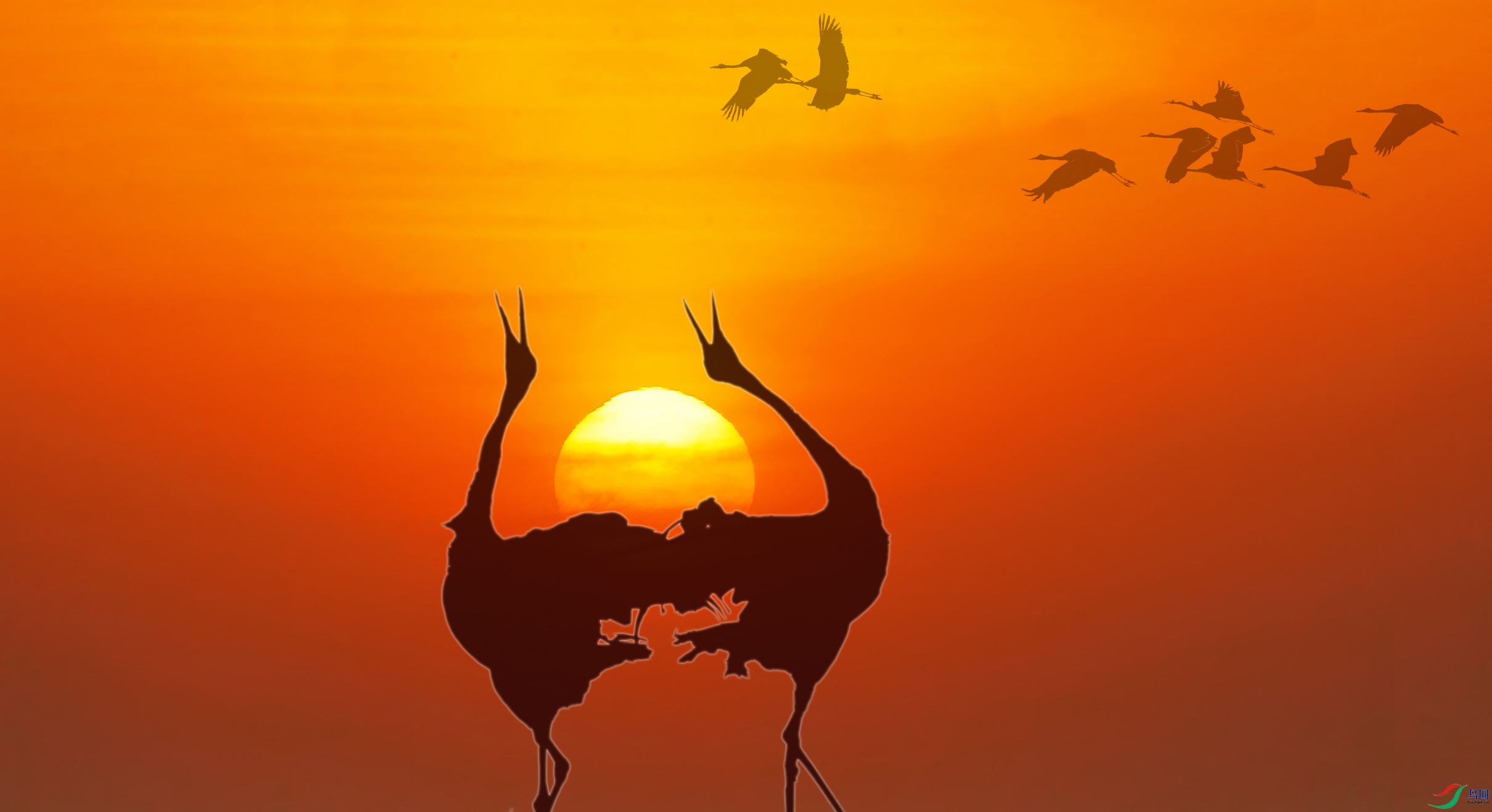 AB0R6714�ĸ��� 2����.jpg