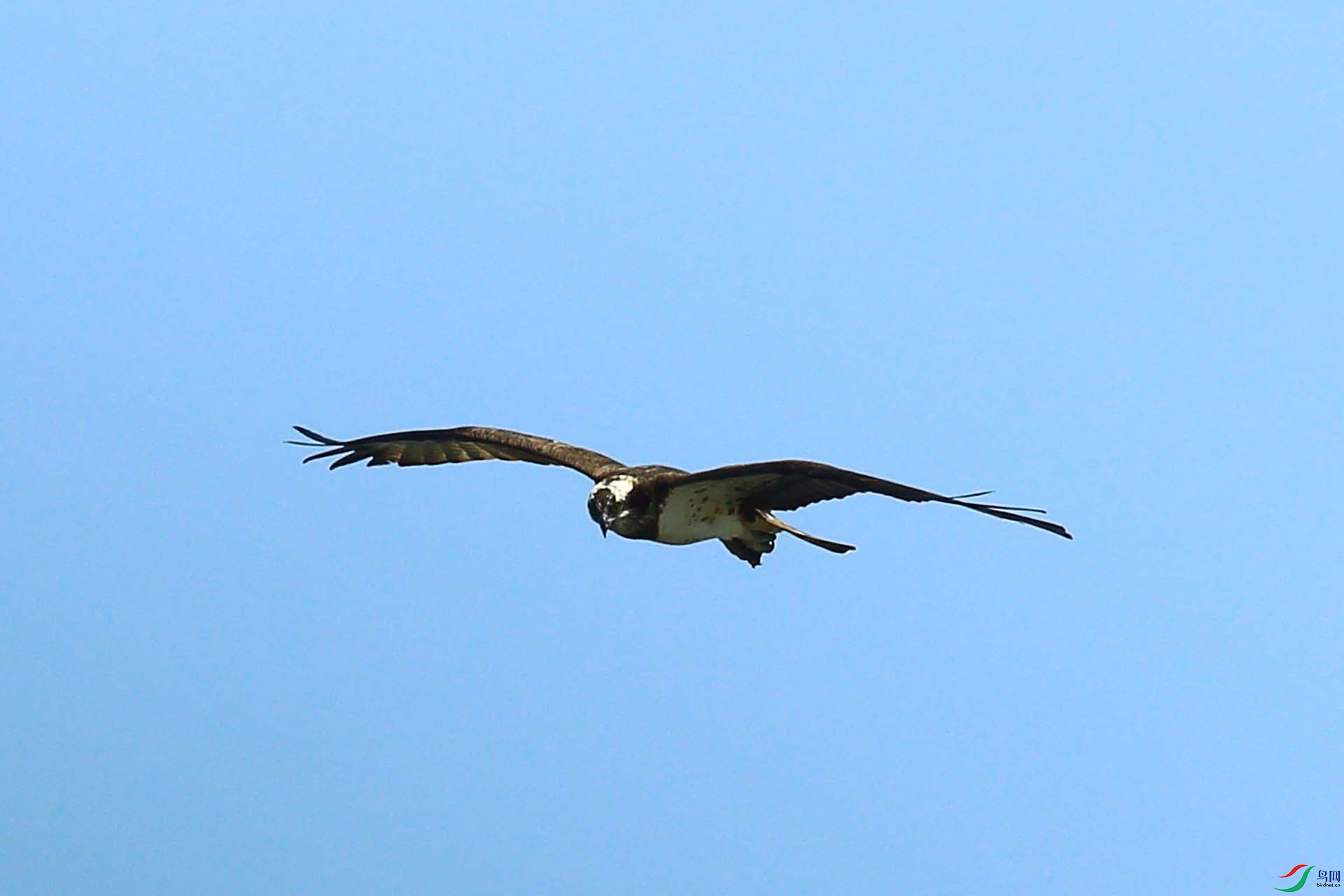 1IMG_6614.JPG