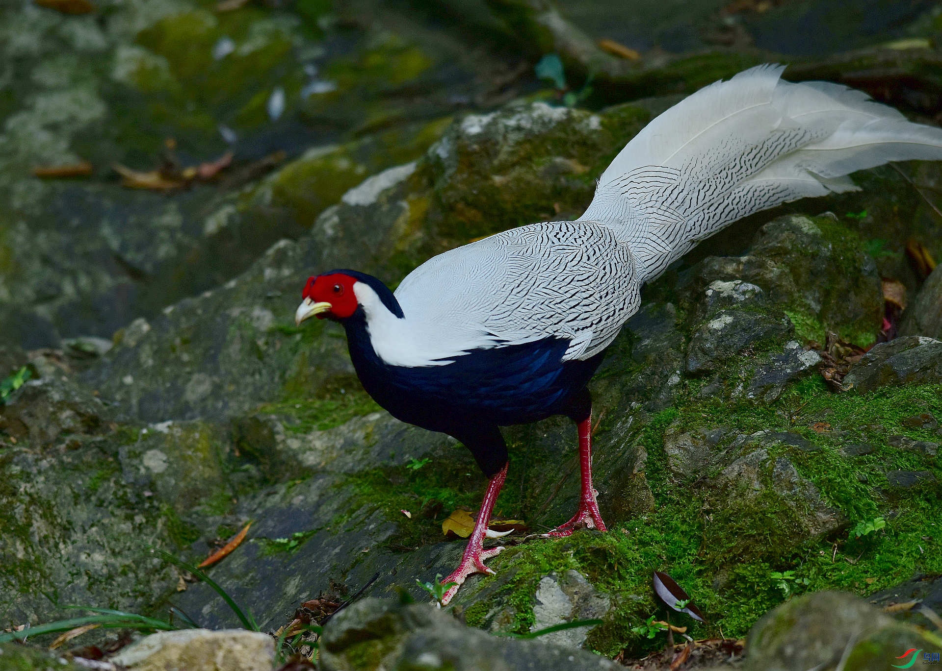 D8I_4844.jpg