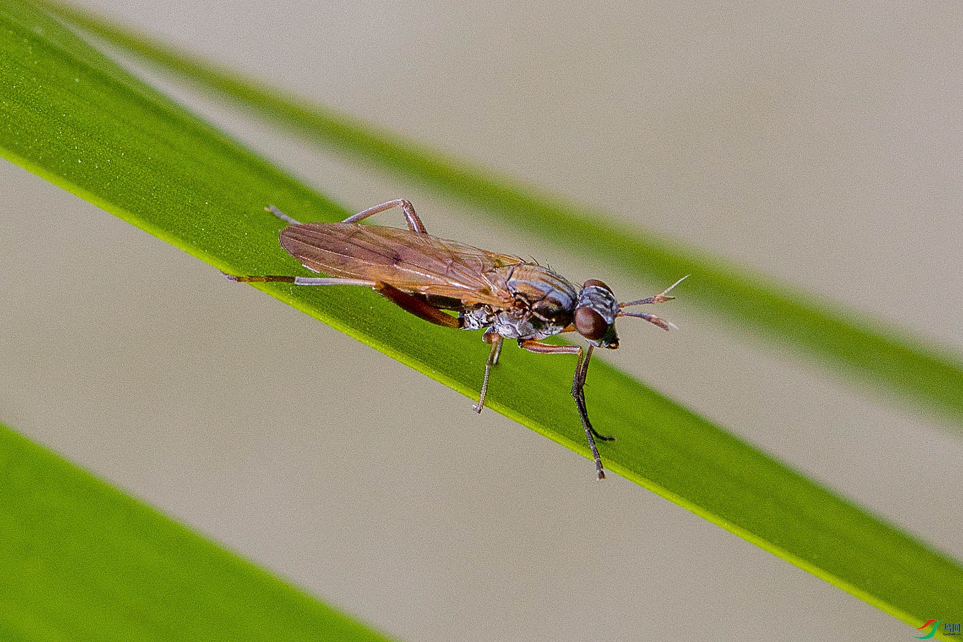 CU8B9269.jpg