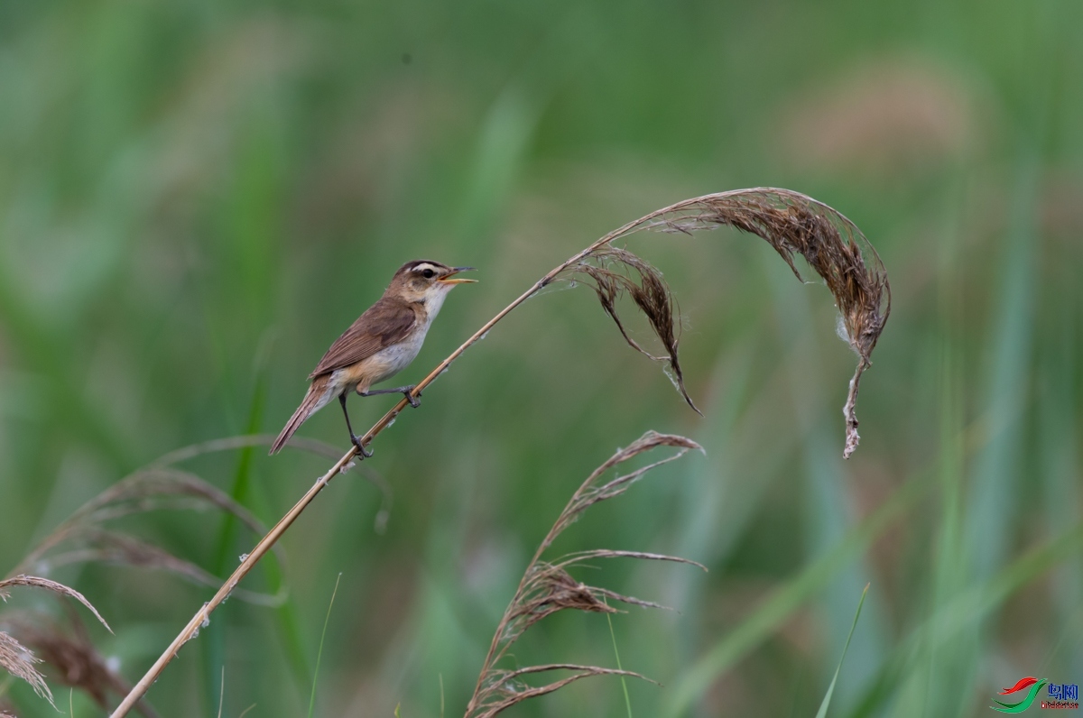 ������ʡ ������ ������ �����ͽֵ�.jpg