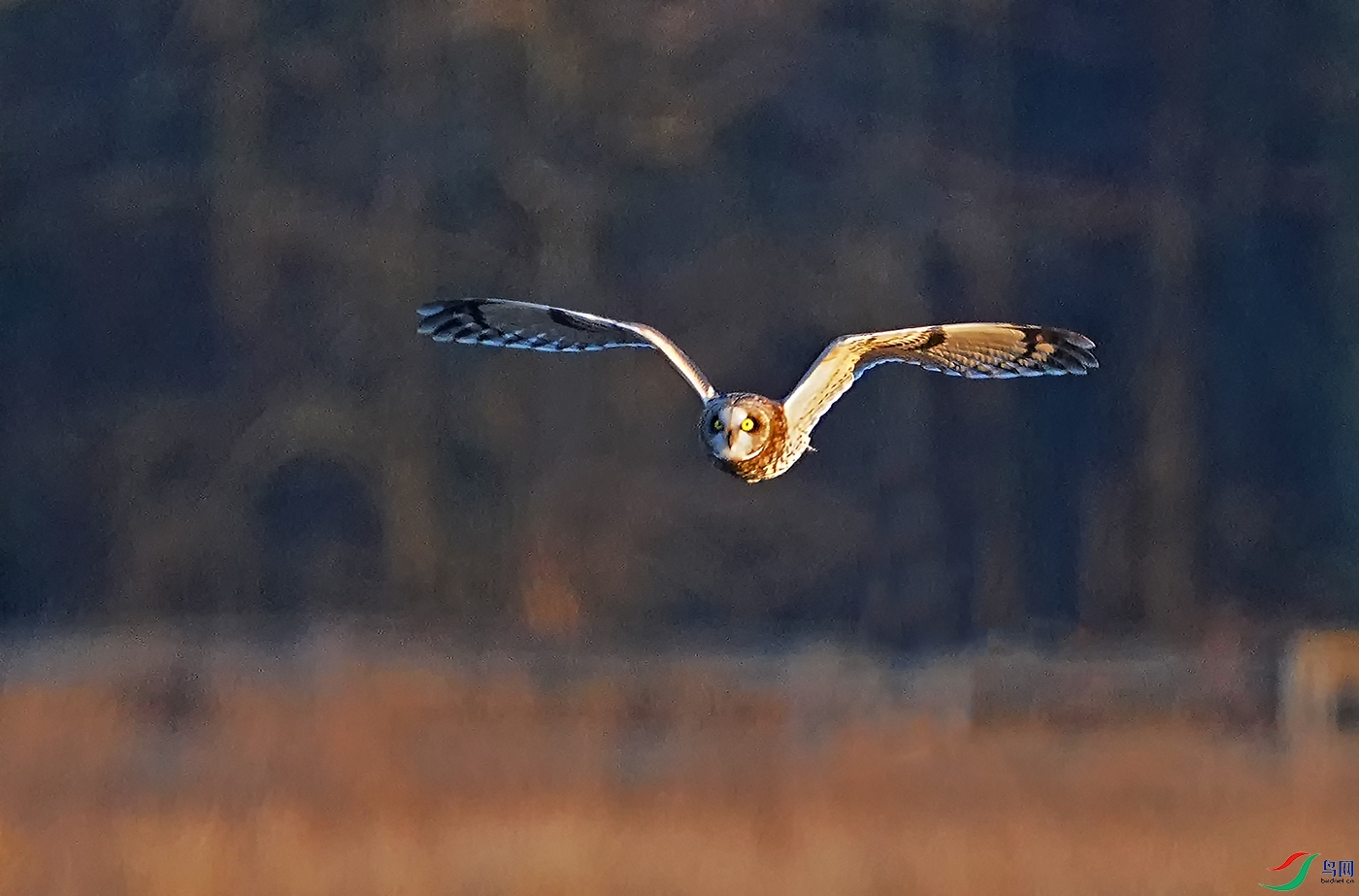 DSC01713----.jpg