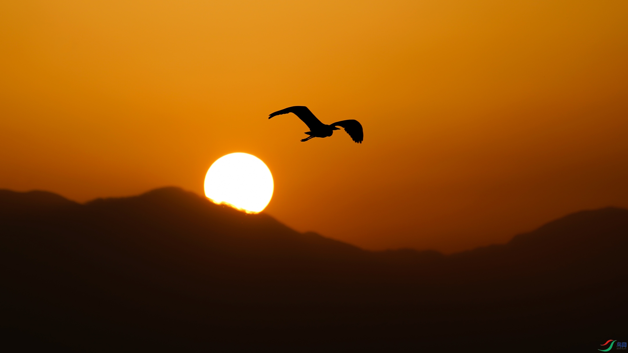 DSC08616��b.jpg