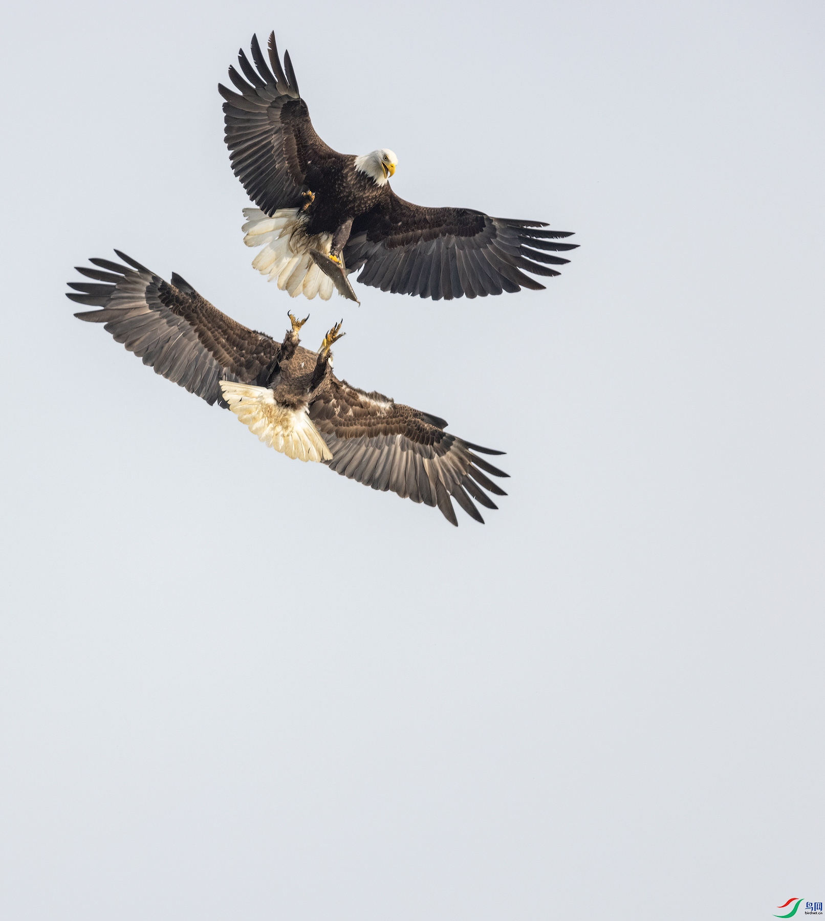 _F0A6996-copyDN-low-light-copyw.jpg