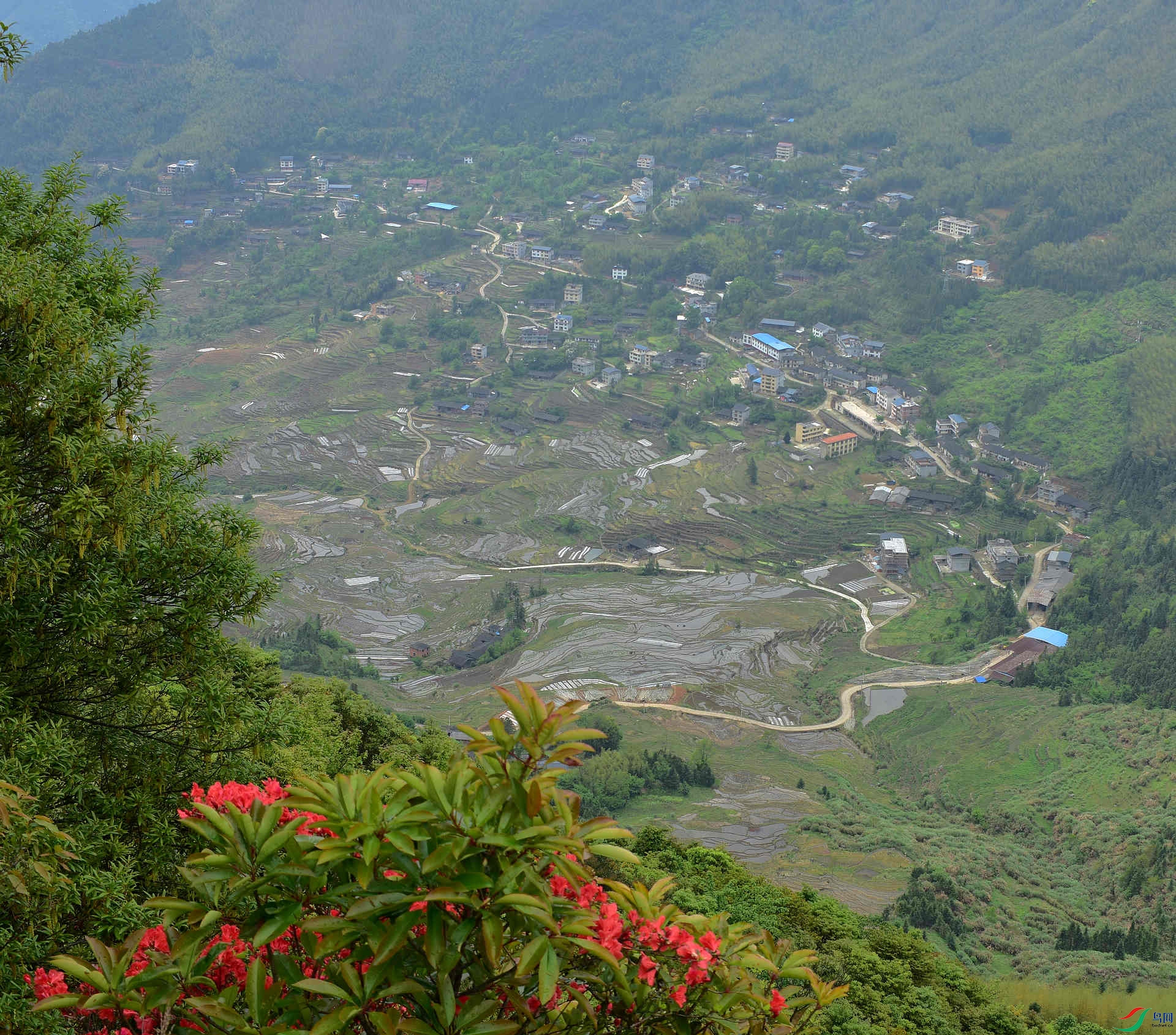 D8I_2842.jpg