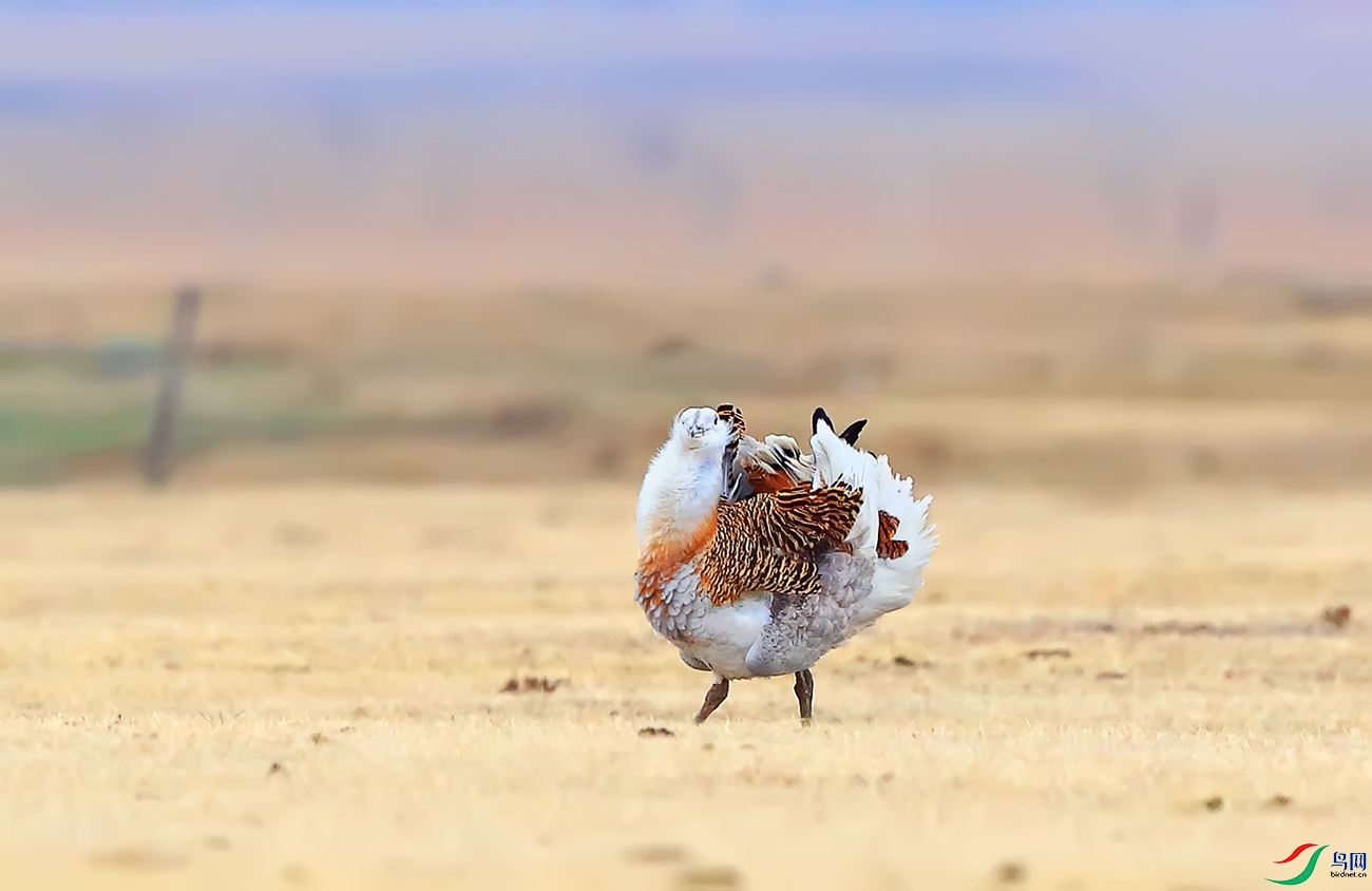 A32I8880-����.jpg