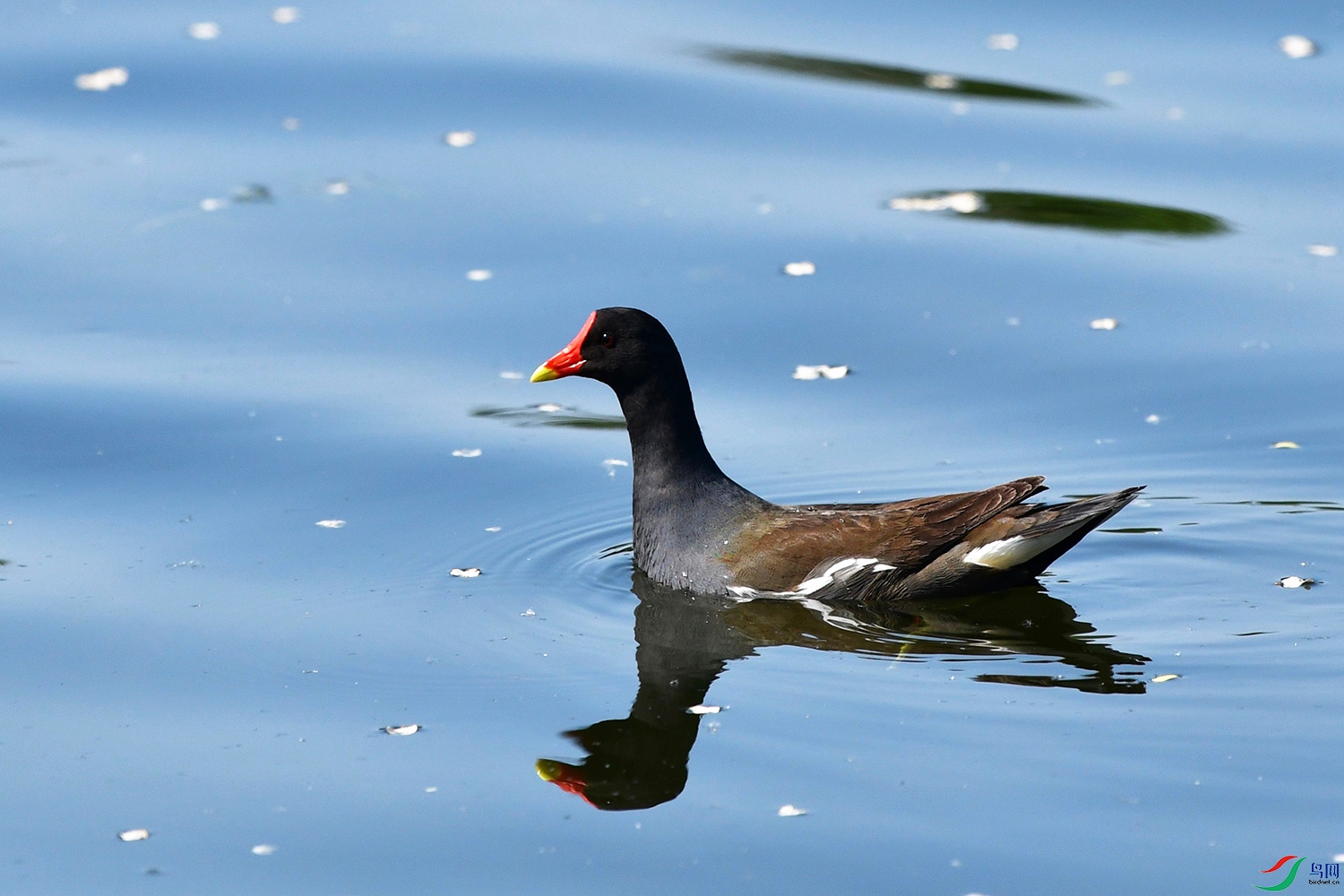 DSC_5441.jpg