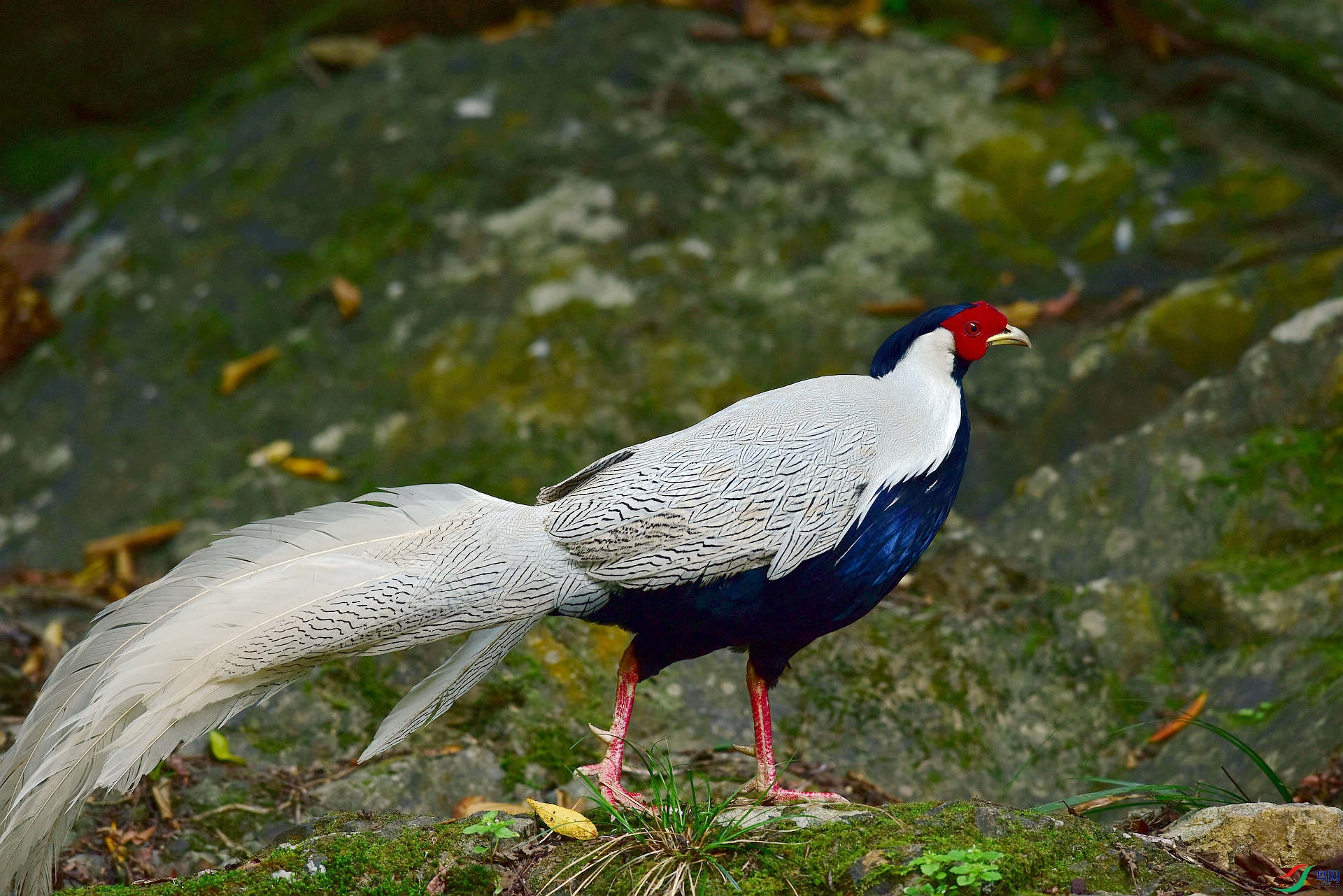 D8I_4630.jpg