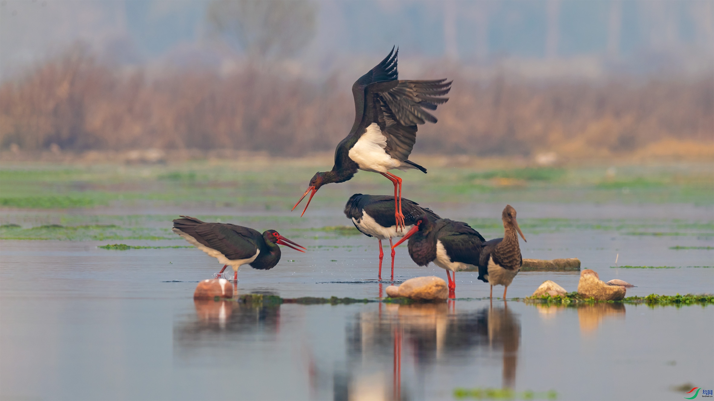 DSC_1082-2.jpg