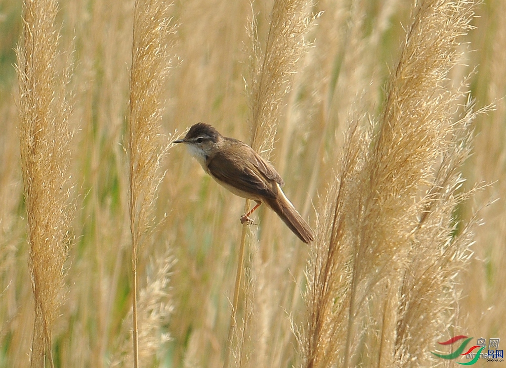 ����֮��  ��ʦ��������.������������.jpg