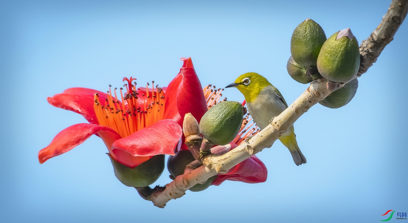 _DSC5740_1 - ����.jpg