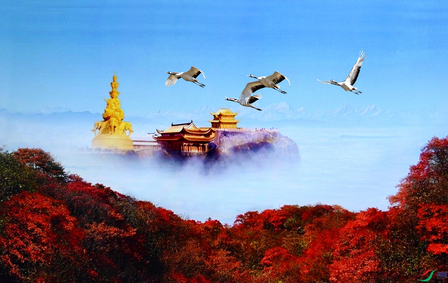 5.�ɾ����ɺ�2677AM.jpg
