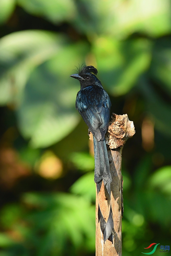 DSC_2042_DxOa.jpg
