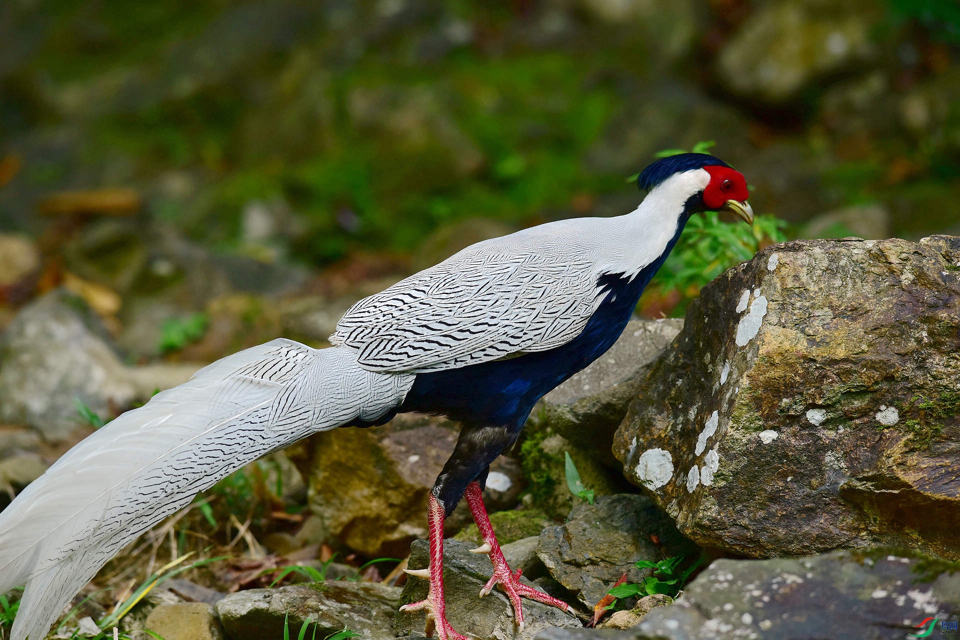 D8I_4545.jpg