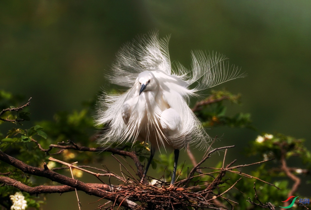 AD2I0202_1 - ����_1.jpg