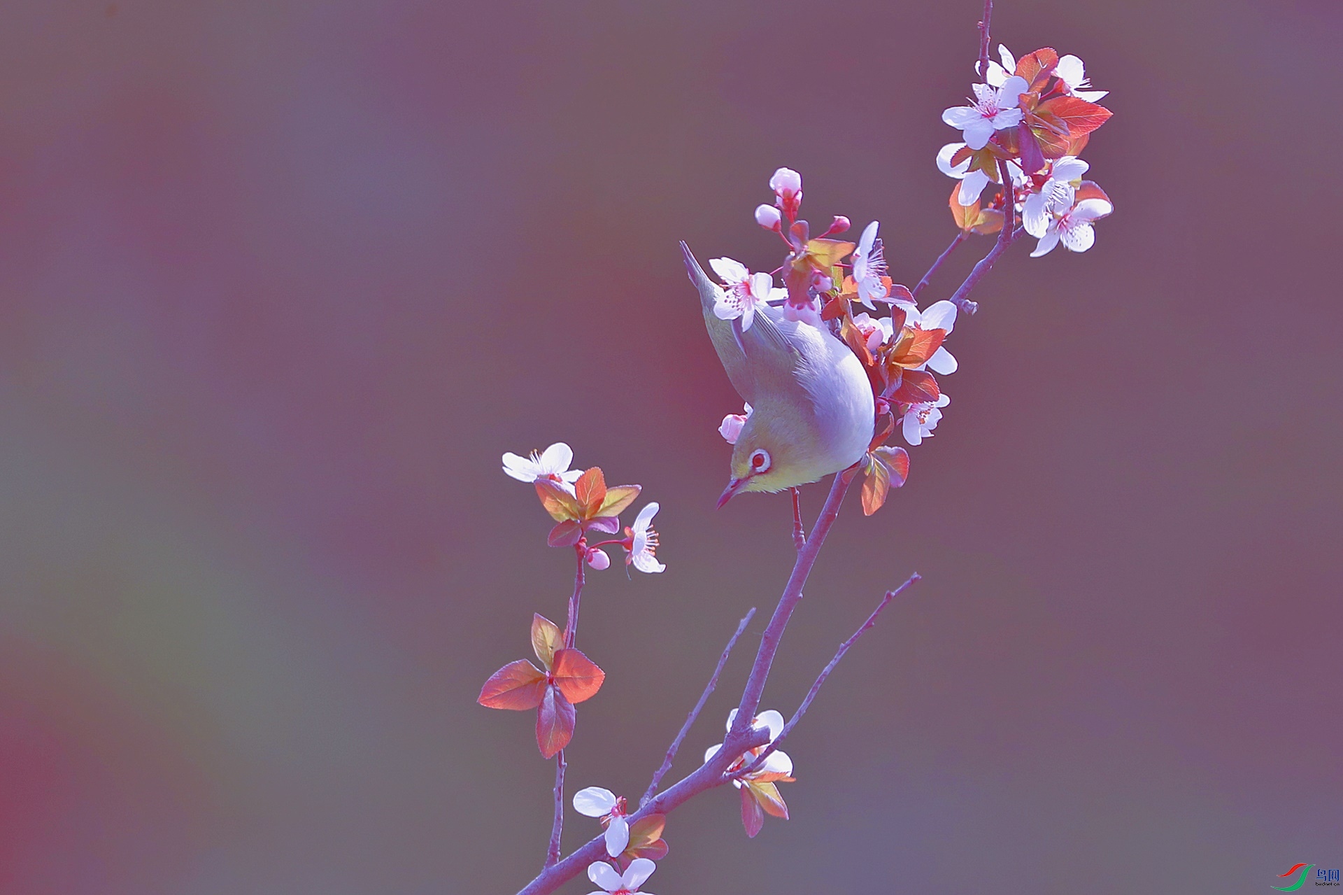 AS8I7541_����.jpg