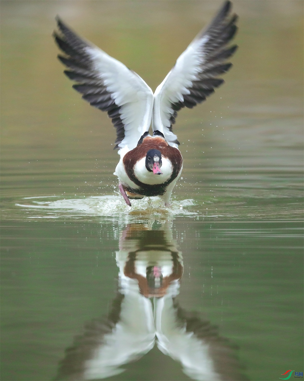 11 - ���� (3).jpg