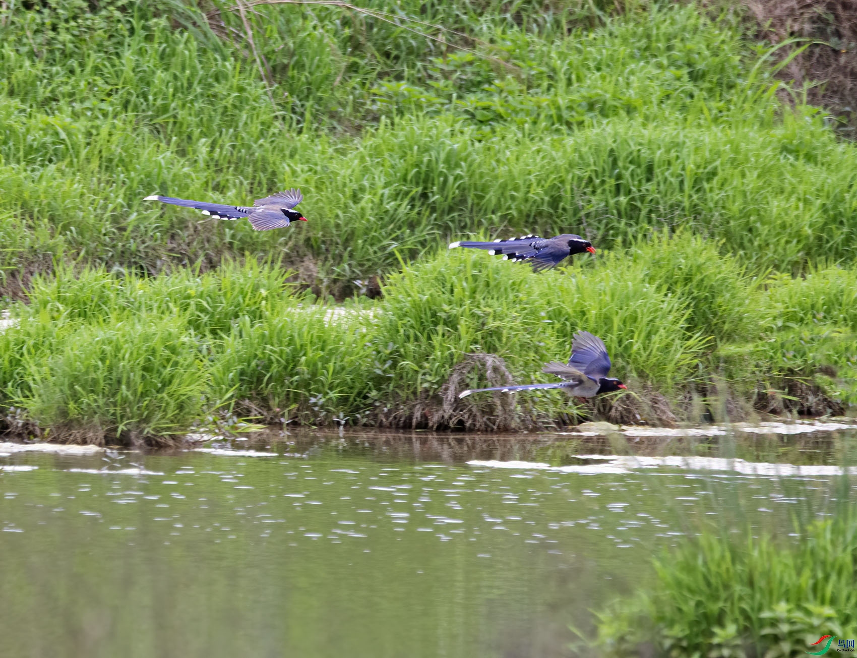 DSC_0745.jpg